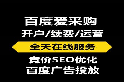 竞价推广实战经验：成功案例分享会